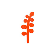 Red leaf brooch